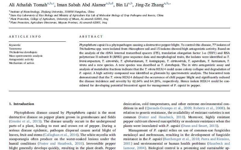 Athafah Tomah et al 2020 Trichoderma dorothopsis