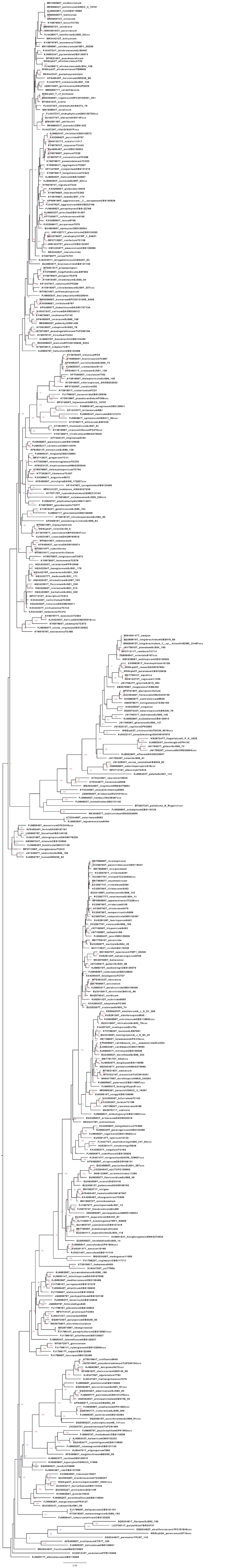 The most complete rpb2 Trichoderma tree with 391 RefSeq (May 10, 2022 ...